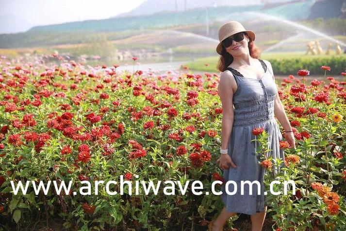 斗罗大陆樱花观看樱花影院截图3