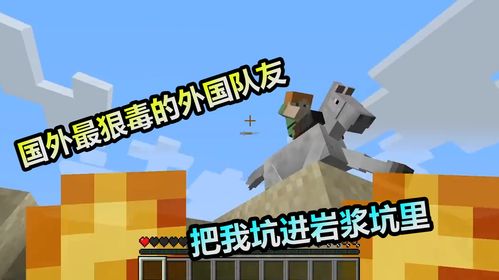 老玩家小小熊我的世界