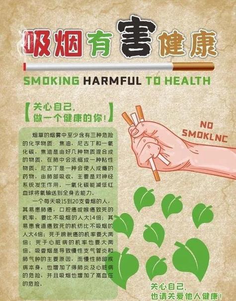 抽烟的危害 抽烟的危害