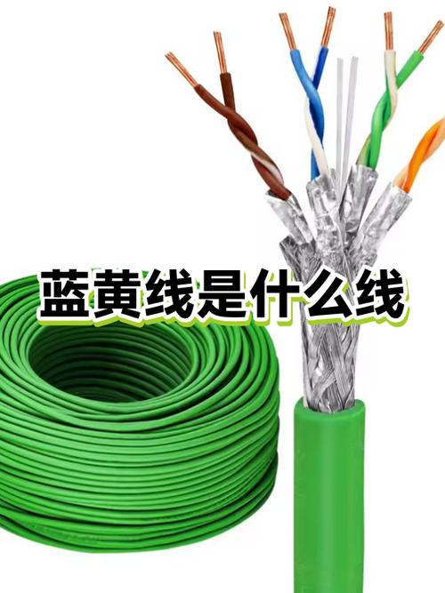 黄线和蓝线哪个是火线