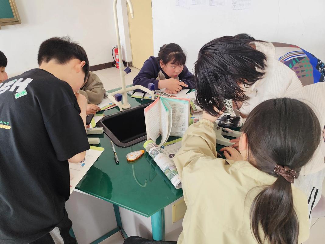小白鸽难还是实验班难