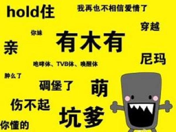 2016年十大网络流行语