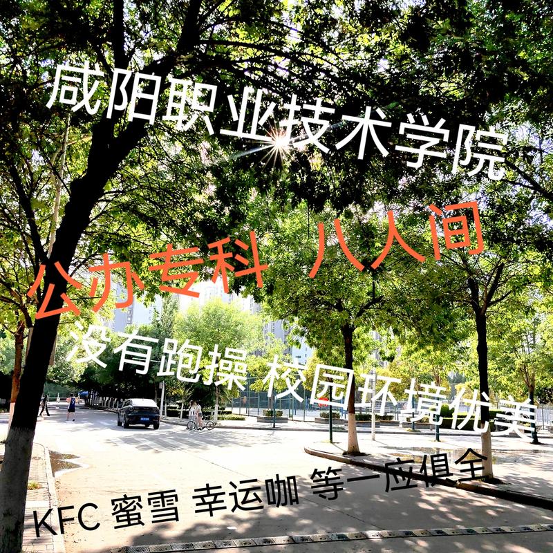 咸职和宝职哪个更厉害