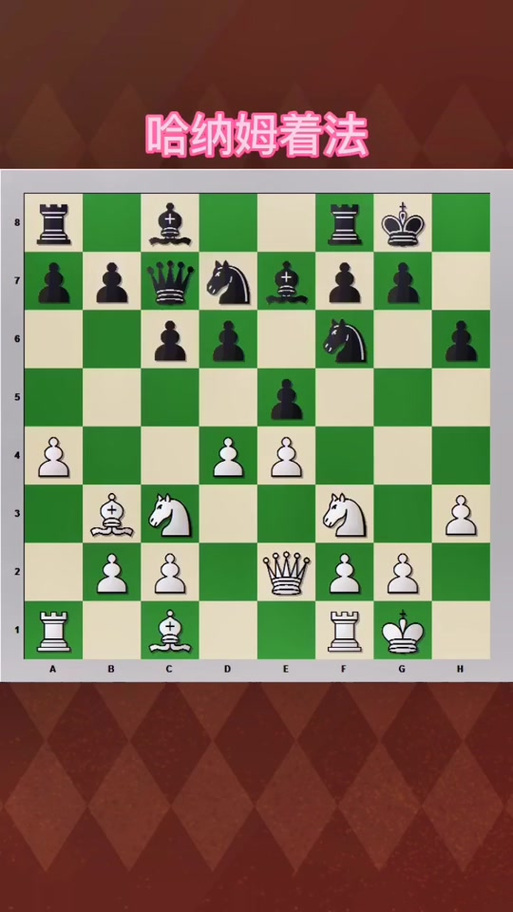 国际象棋必胜法 国际象棋必胜法
