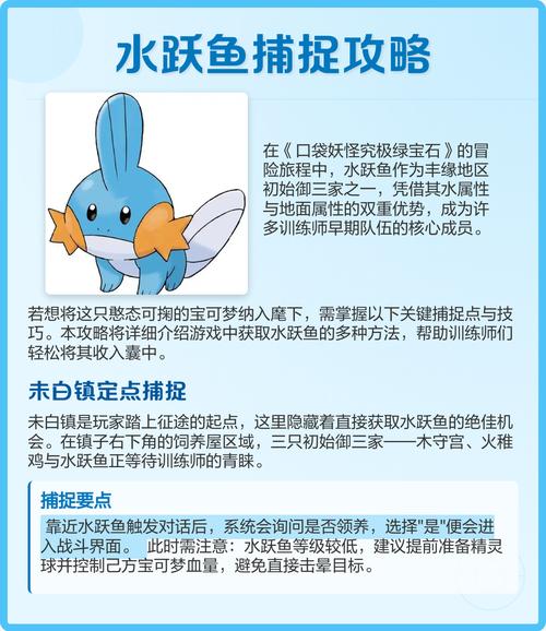 口袋妖怪绿宝石道具大全截图2