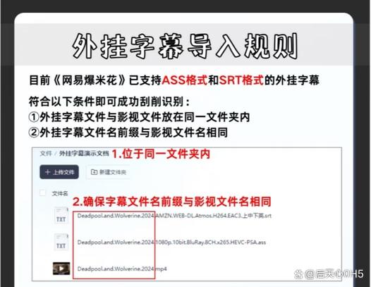 百度网盘导入字幕