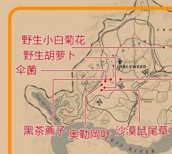 荒野大镖客2植物图鉴