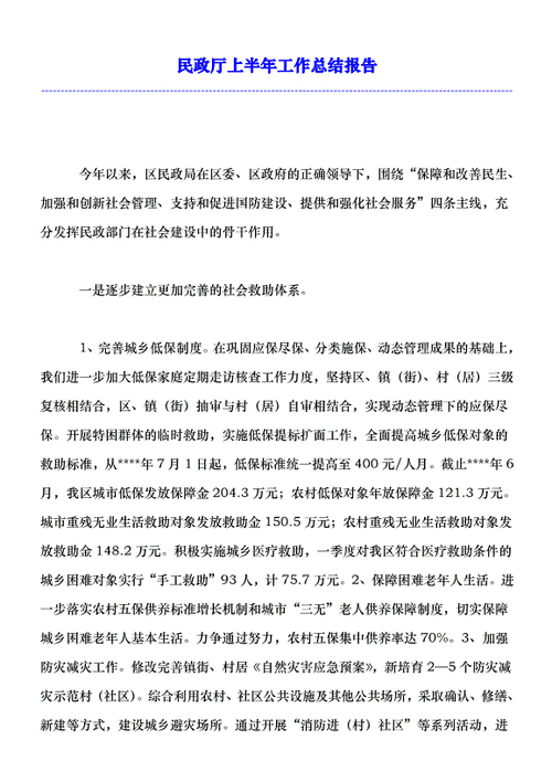 民政定期报告系统截图2