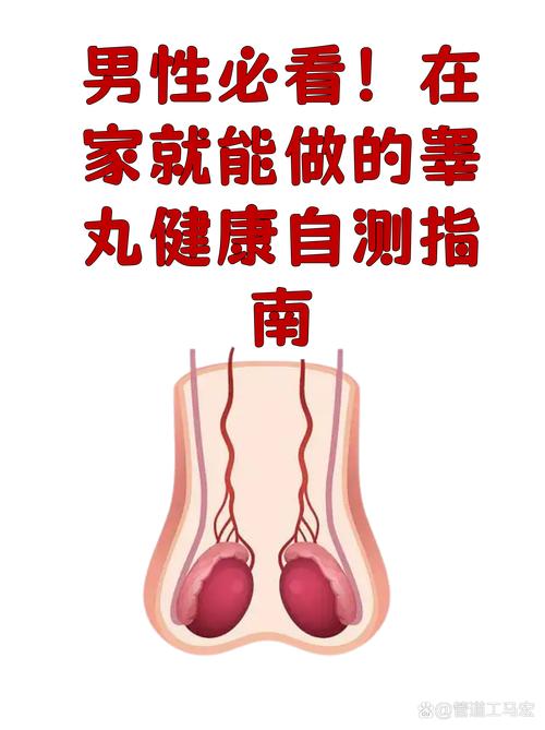 睾丸变小变软
