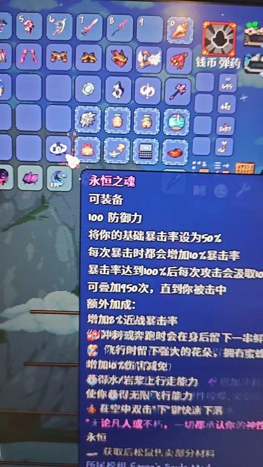 泰拉瑞亚哨兵饰品搭配