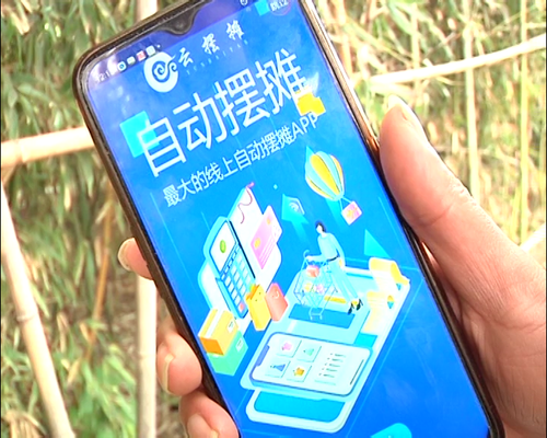 云摆摊截图1