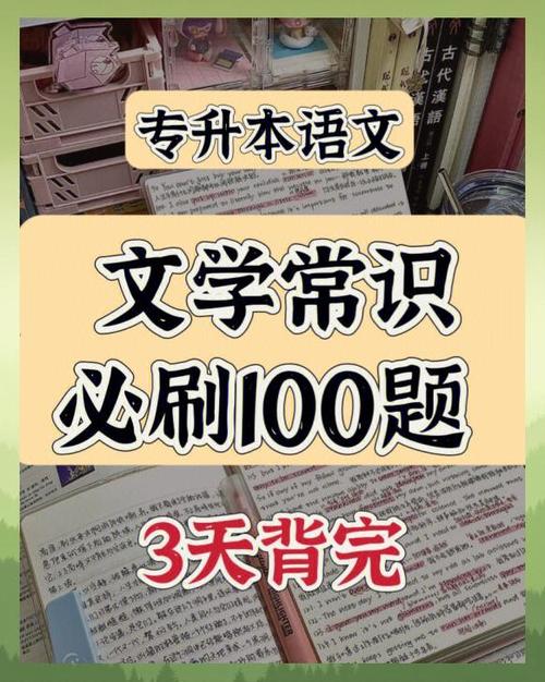 语文如何快速提分