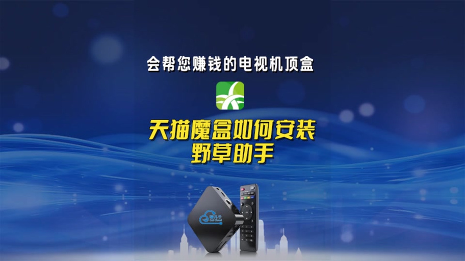 电视版野草助手TV版2025轻量版截图3