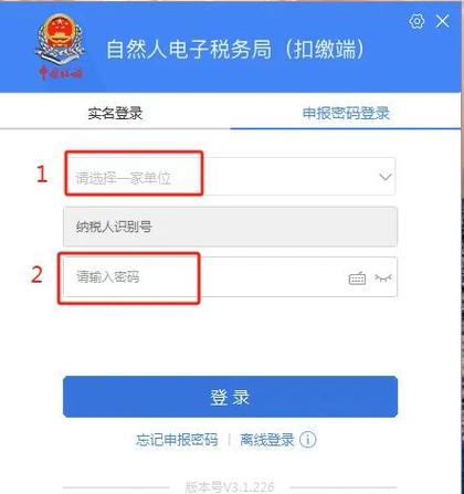 申报个人所得税怎么申报截图2