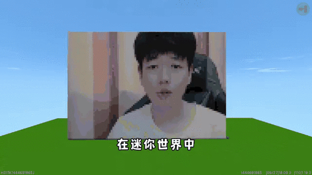 刘半仙迷你世界解说