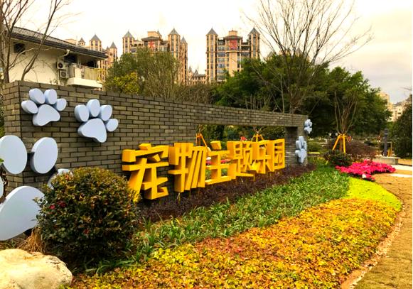 手机上的宠物下载