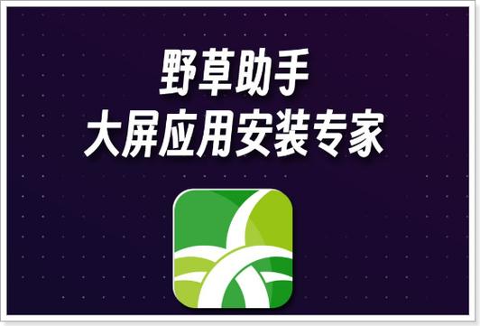 野草口令2024港澳台最新白色版截图2