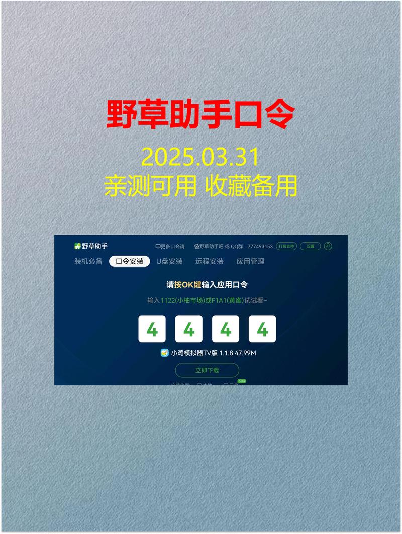 野草口令2024港澳台最新白色版截图3