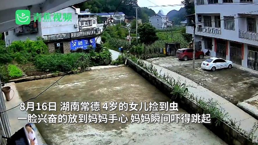 儿子缩小被妈妈当成虫子放进鞋子里截图2