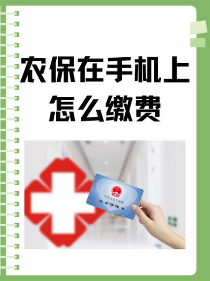 农保是哪一年开始交的