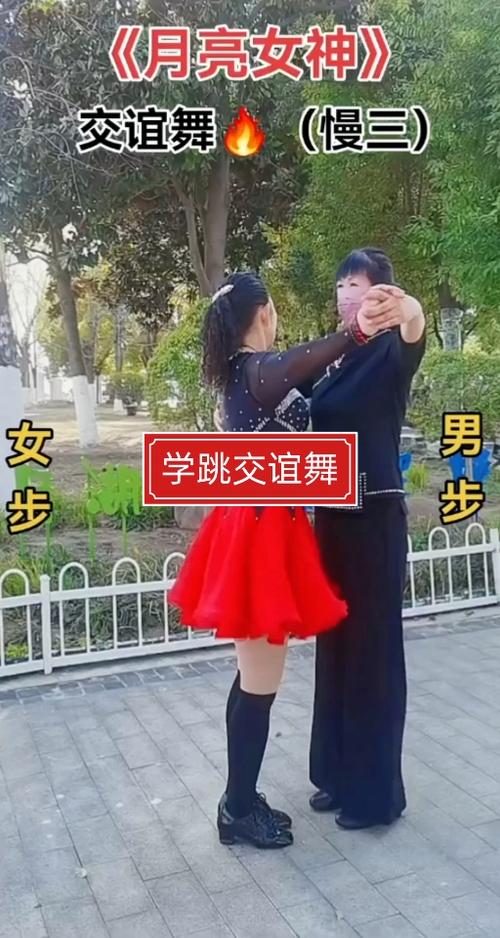 交谊舞十个基本步截图2