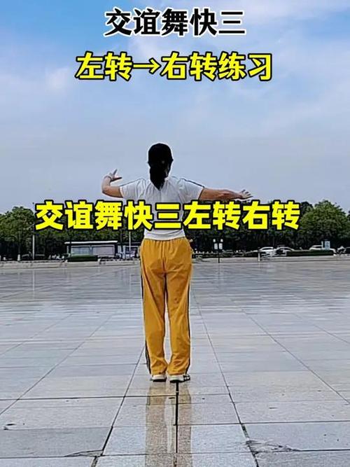 交谊舞十个基本步截图3