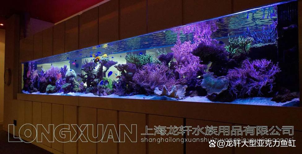 鱼缸调水怎么调