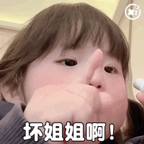 梗姐姐表情包