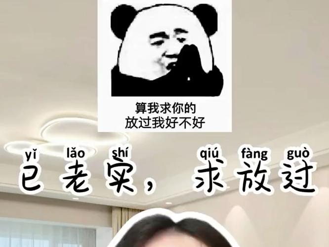 梗姐姐表情包截图2