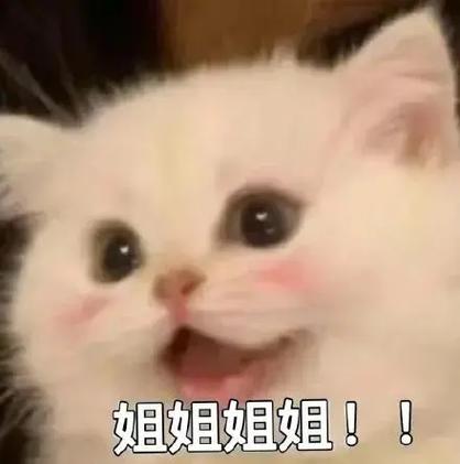 梗姐姐表情包截图3