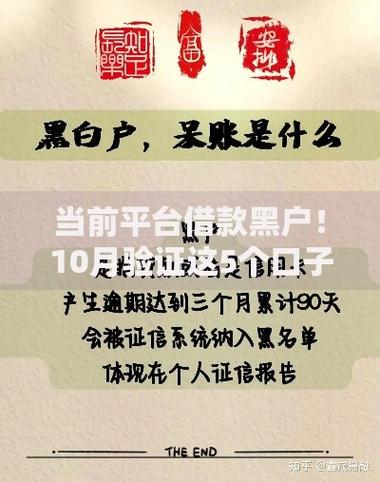 黑网贷小额贷款平台截图2