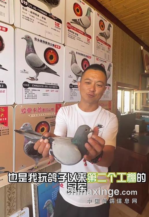 君翼赛鸽公棚工棚 君翼赛鸽公棚工棚