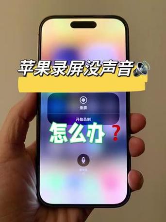 跟别人视频录屏怎么没声音