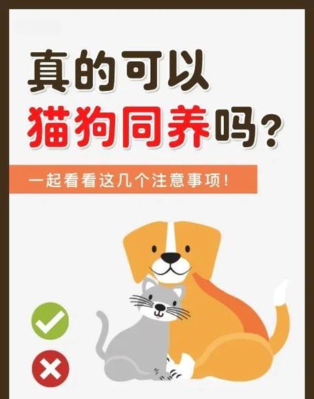 养狗好吗