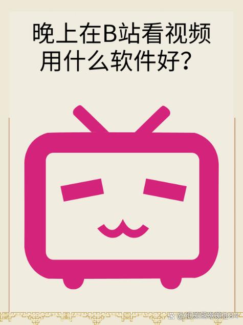 b站能看到浏览人吗