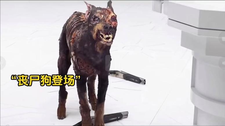 一个人带着狗打僵尸截图3