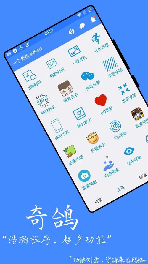 一只奇鸽船软件下载