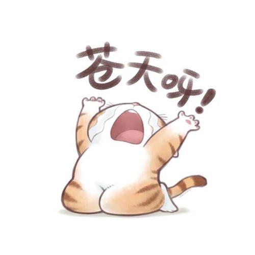 迈姐表情包 迈姐表情包