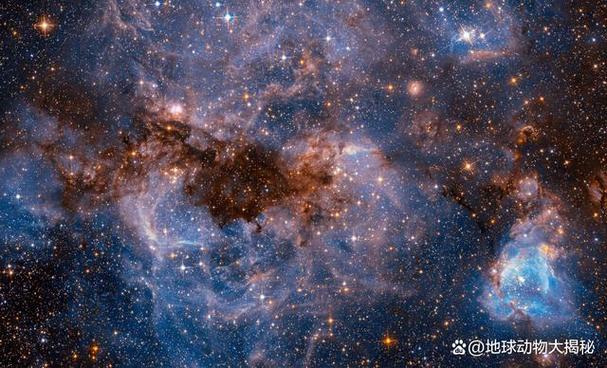 宇宙最美丽的星球排名