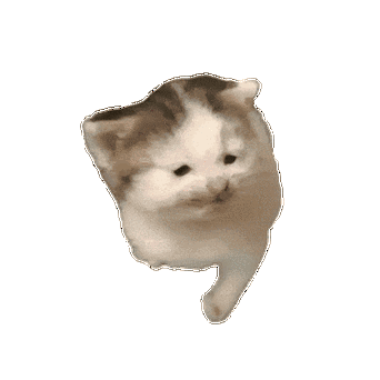 很火的那个猫的表情包截图2