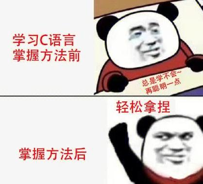 会易语言学c容易吗