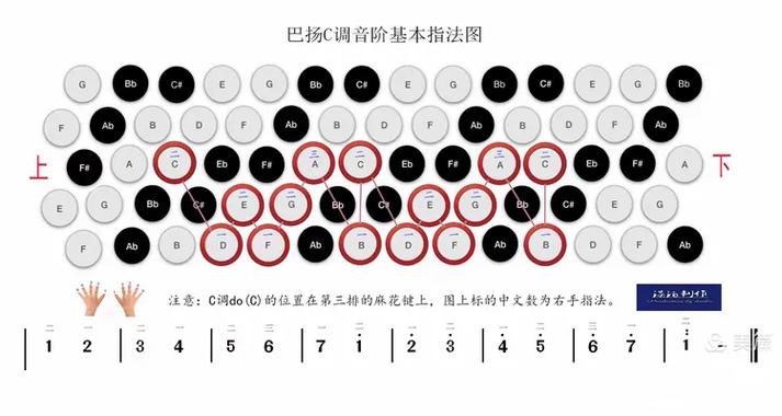 巴扬手风琴指法表