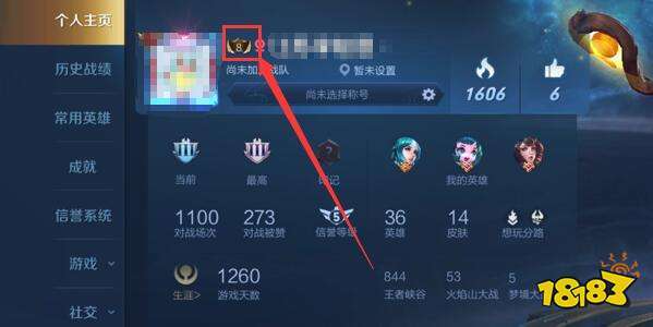 王者荣耀名字左边图标