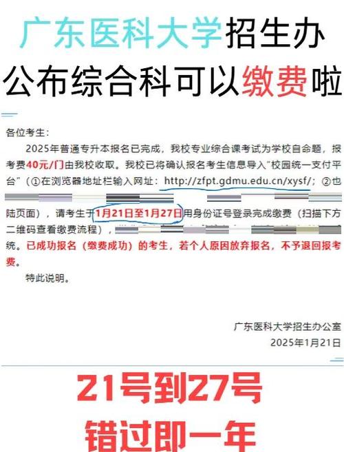 校考报名费多少钱