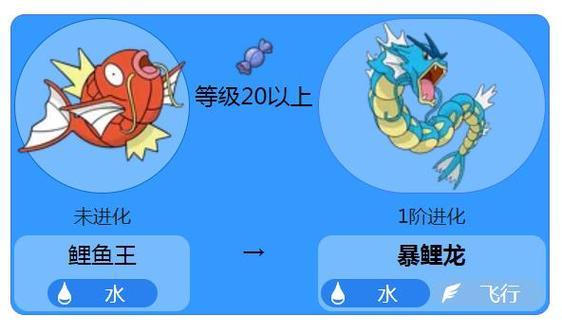 口袋妖怪鲤鱼王性格