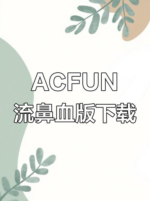 acfun流鼻血下载截图3