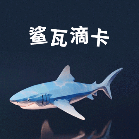 小鲨鱼app下载