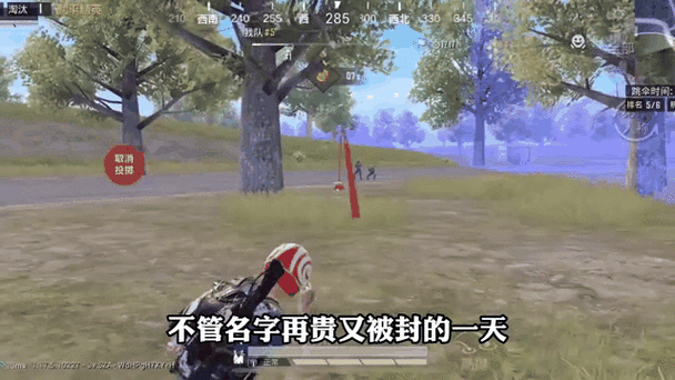 吃鸡改单字ID