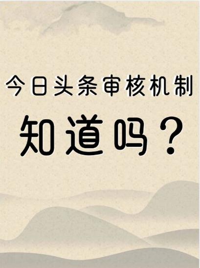 审核机制和闪银一样的口子