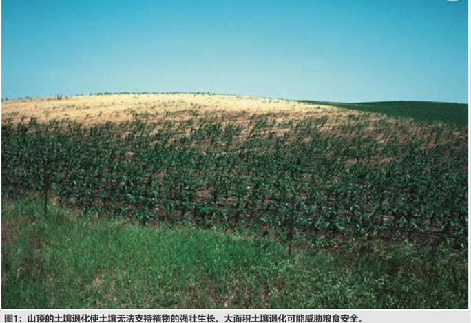 土地对人类意味着什么
